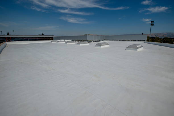 Best Roof Leak Repair  in Bosque Farms, NM