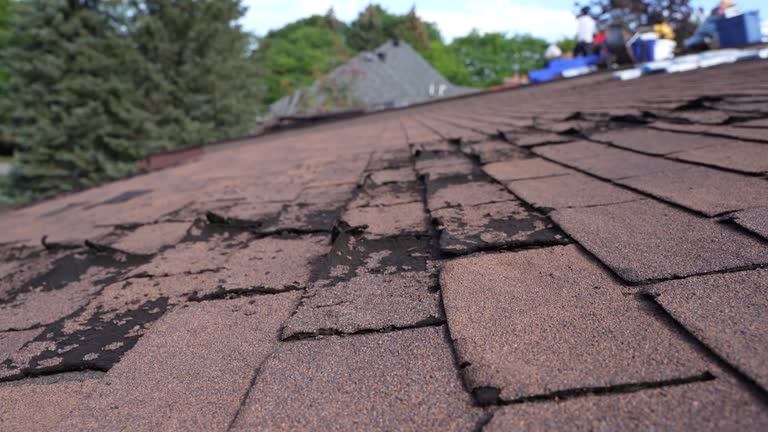 Best Emergency Roof Repair Services  in Bosque Farms, NM