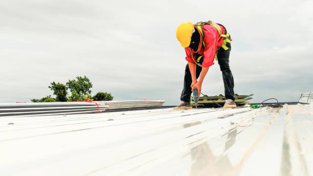Best Roof Moss and Algae Removal  in Bosque Farms, NM