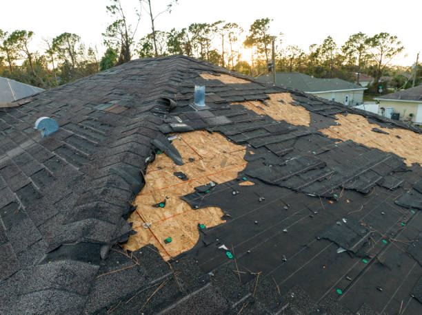 Best Cold Roofs  in Bosque Farms, NM