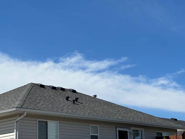 Best Chimney Flashing Repair  in Bosque Farms, NM